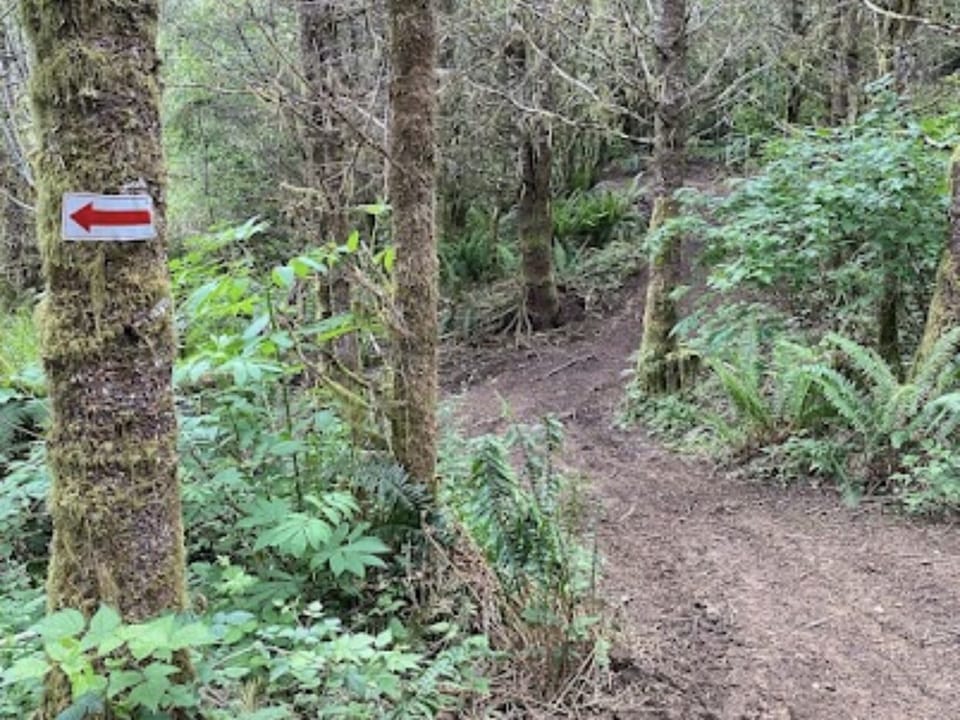 A look at a portion of many miles of trails. 