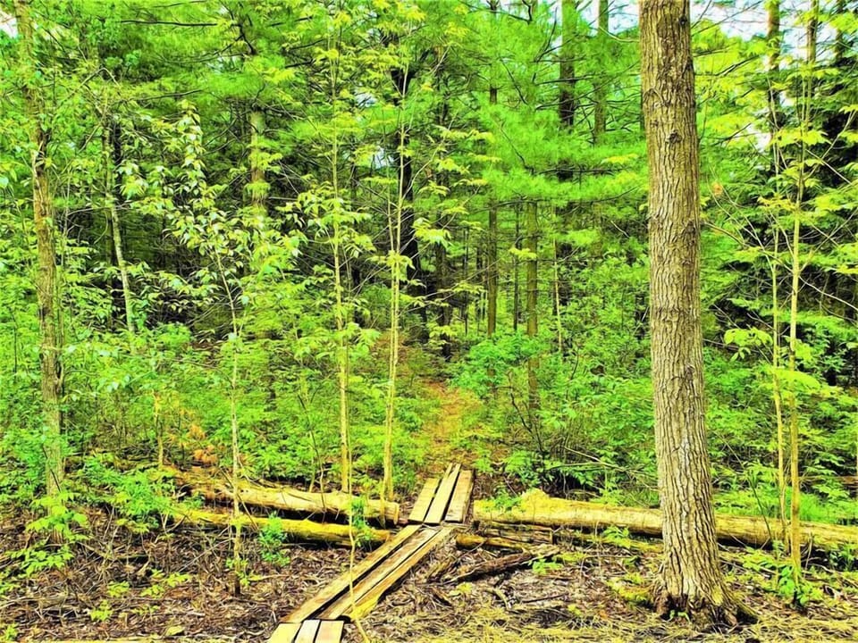 State Land Trail Right From the Back Yard. One of Two.