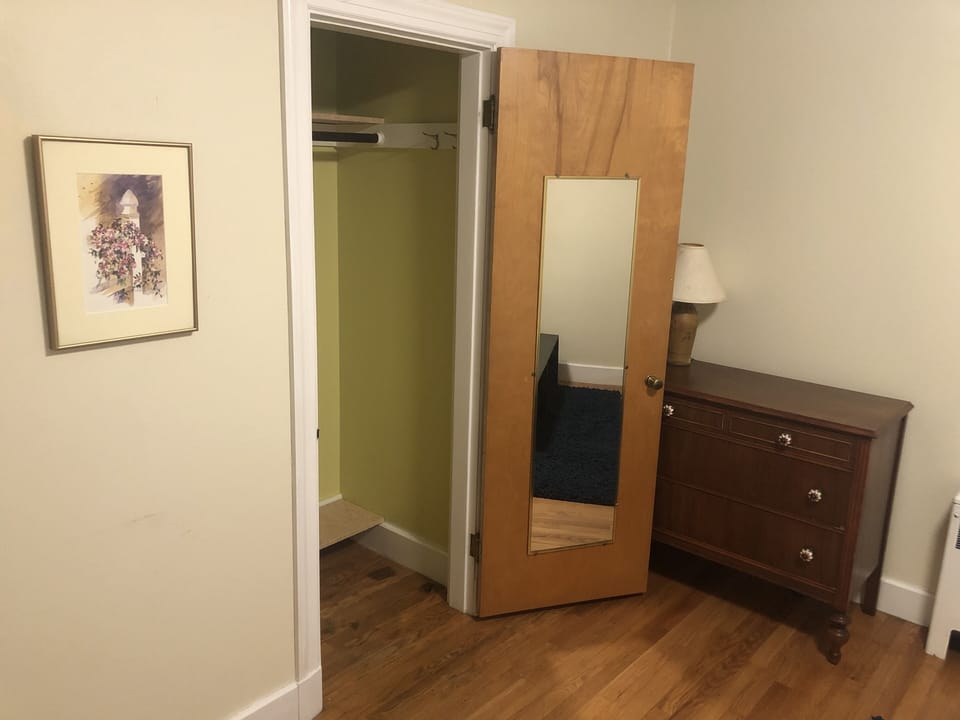 King bedroom closet and dresser