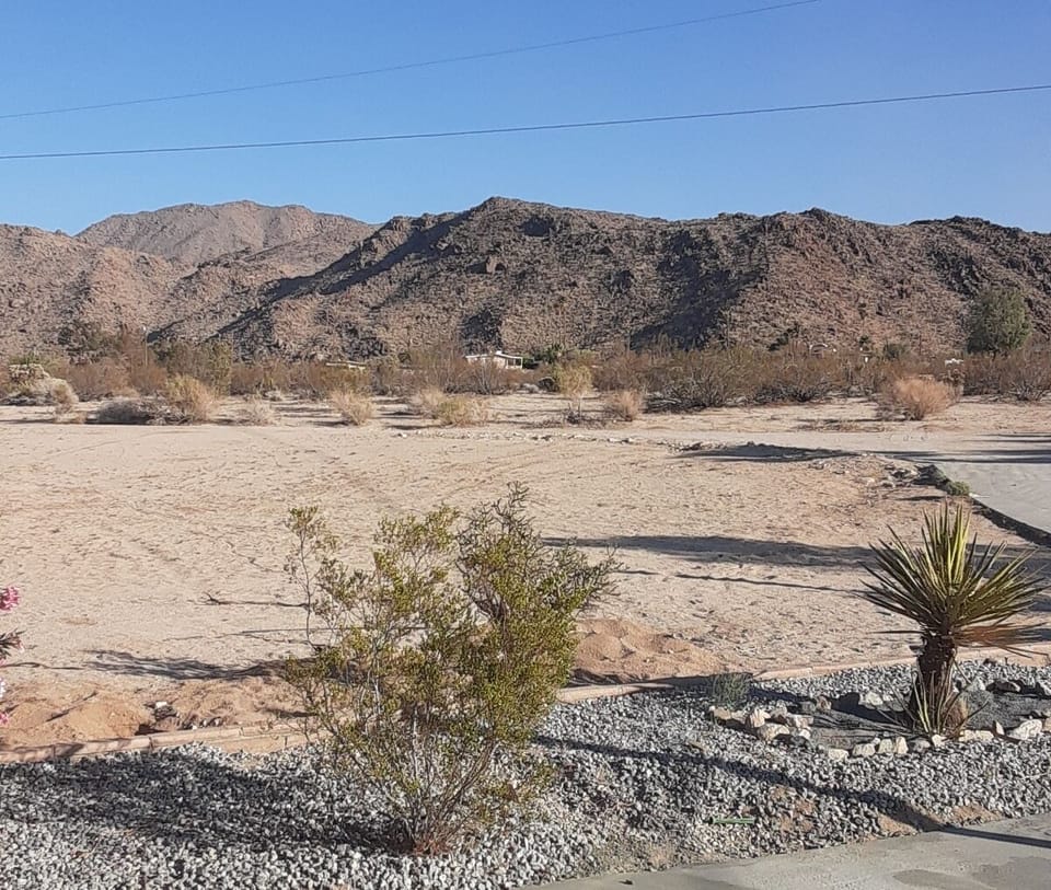 Located between Indian Cove Campground and 49 Palms Oasis trail on 5 acres. 