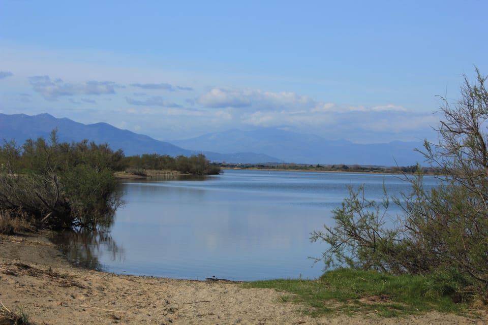 Etang (salt lake) between Canet and St Cyprien 