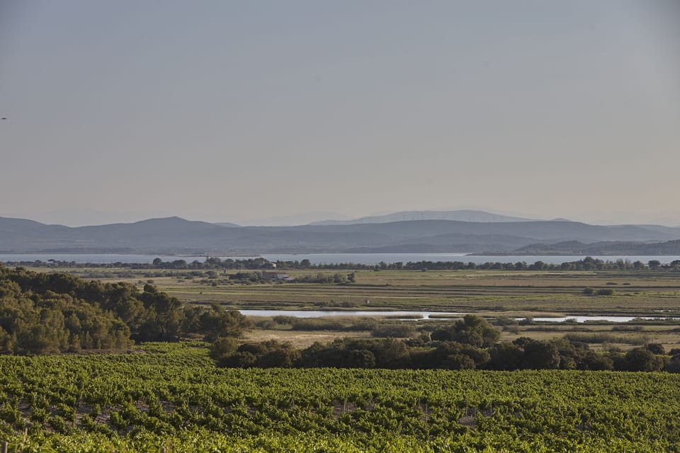 Land view from property
