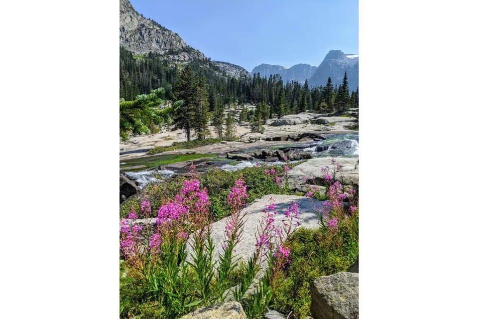 Beautiful scenery on nearby hikes
