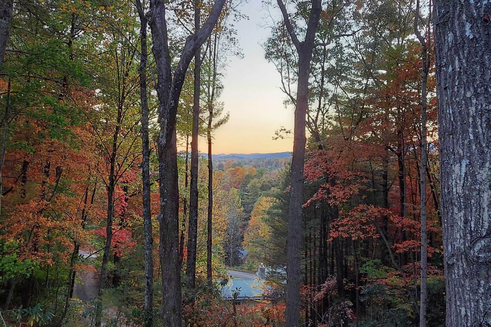 Property Views