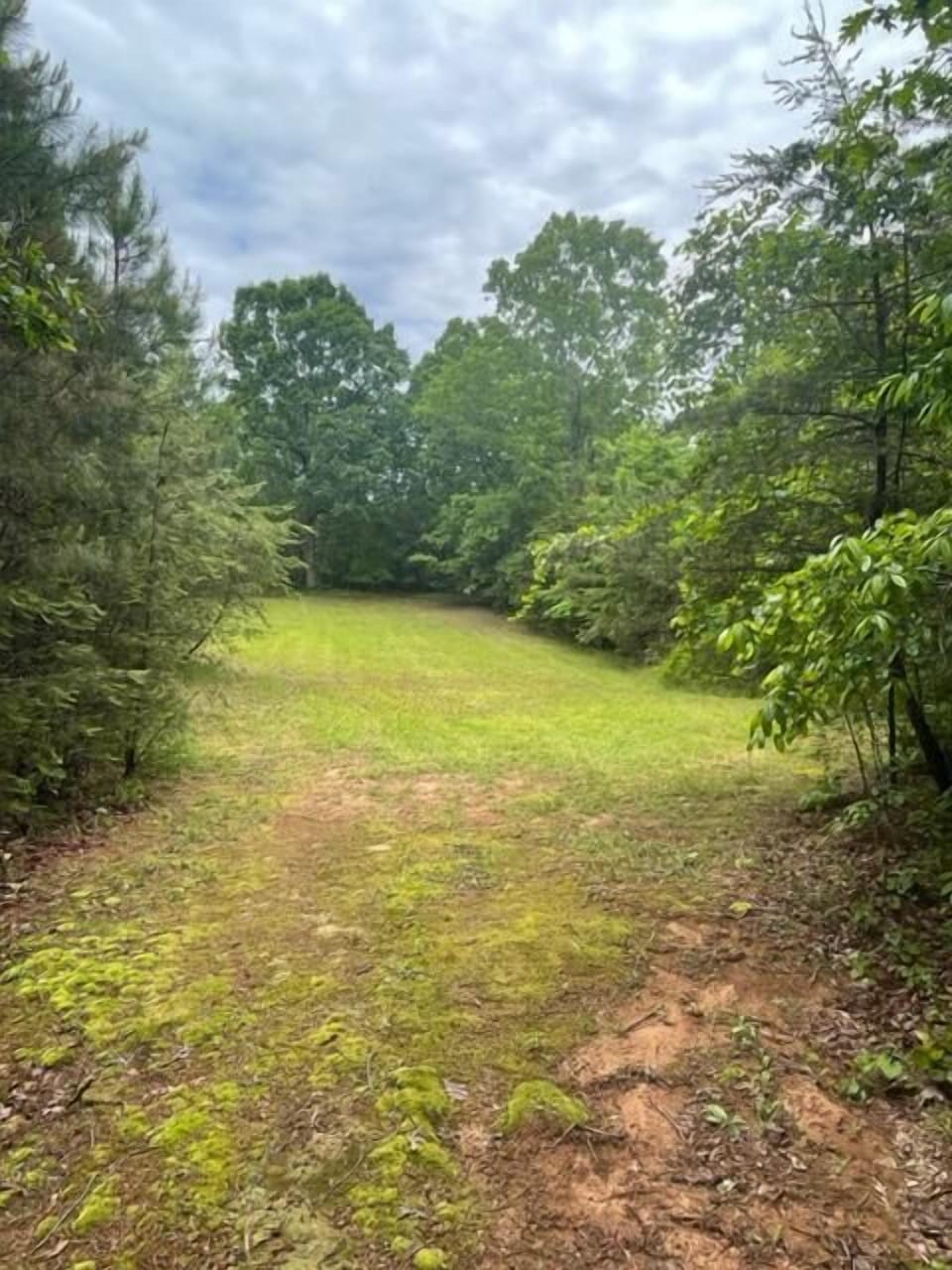 Pegasus Meadow