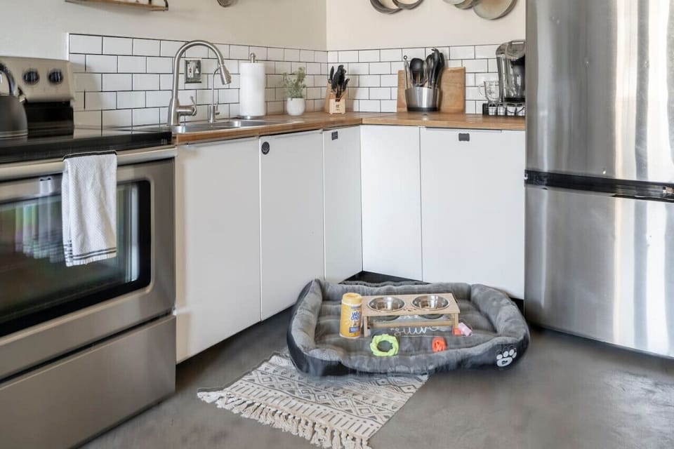 Your furry friends will feel right at home in our dog-friendly property.
