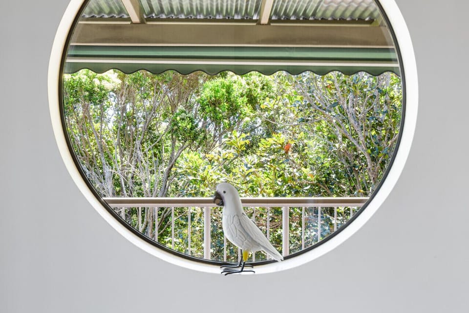 Window