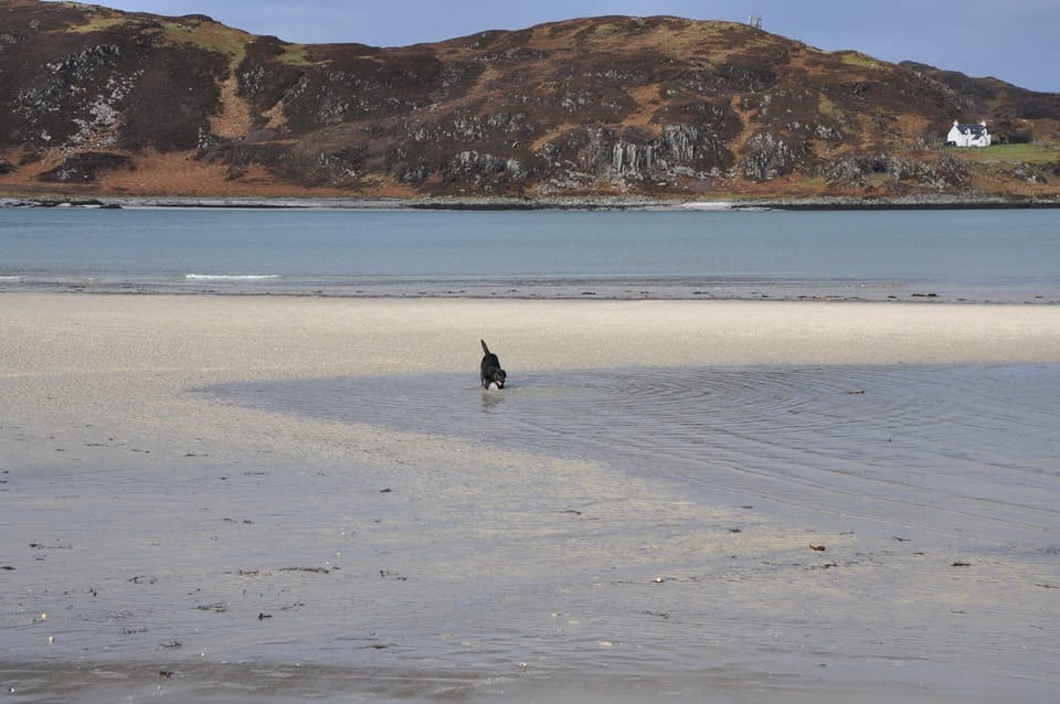 Morar beach great for the dogs and children, plenty of space.