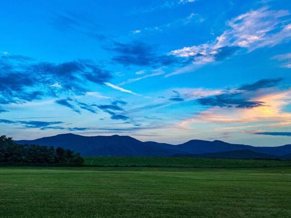 View from a park right down the street
