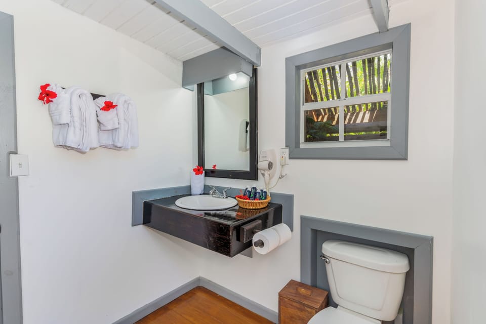 Cabin | Bathroom | Shower, rainfall showerhead, hair dryer, towels