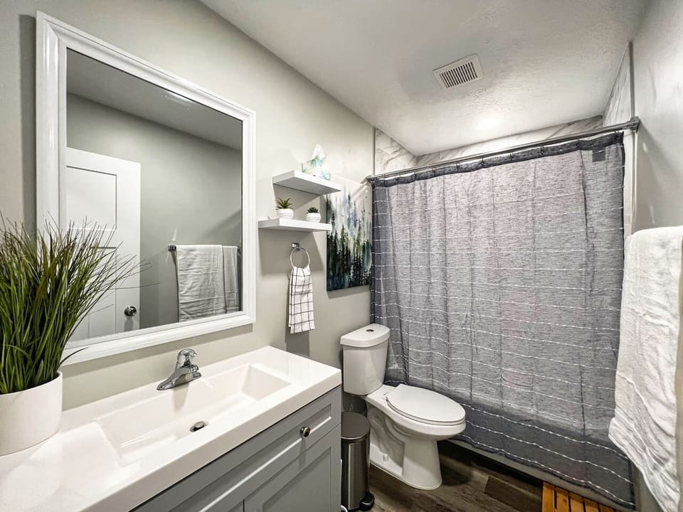 Shower with bathtub