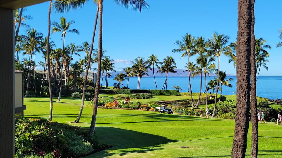 Your 1x view from the lanai.  Facing slightly south.