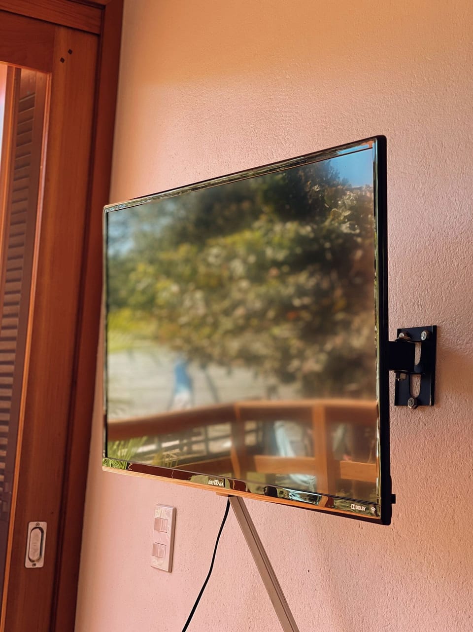 Television
