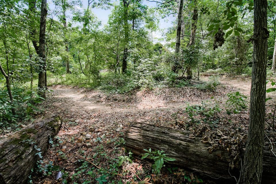 Trail in the backyard 
