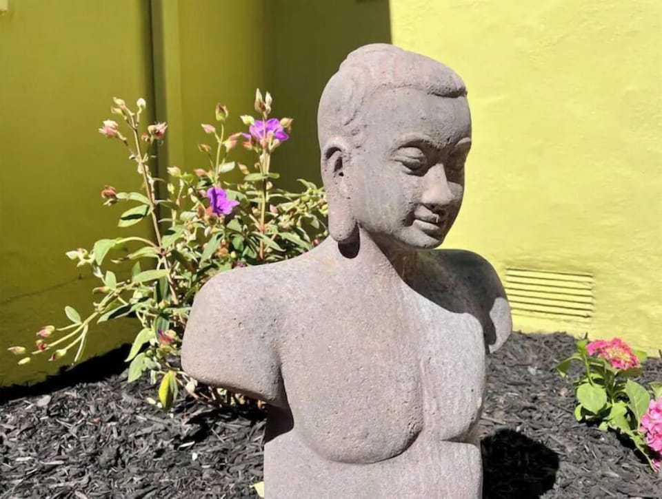 It is a zen inspired yard with plants, planters and statues that induce wellness