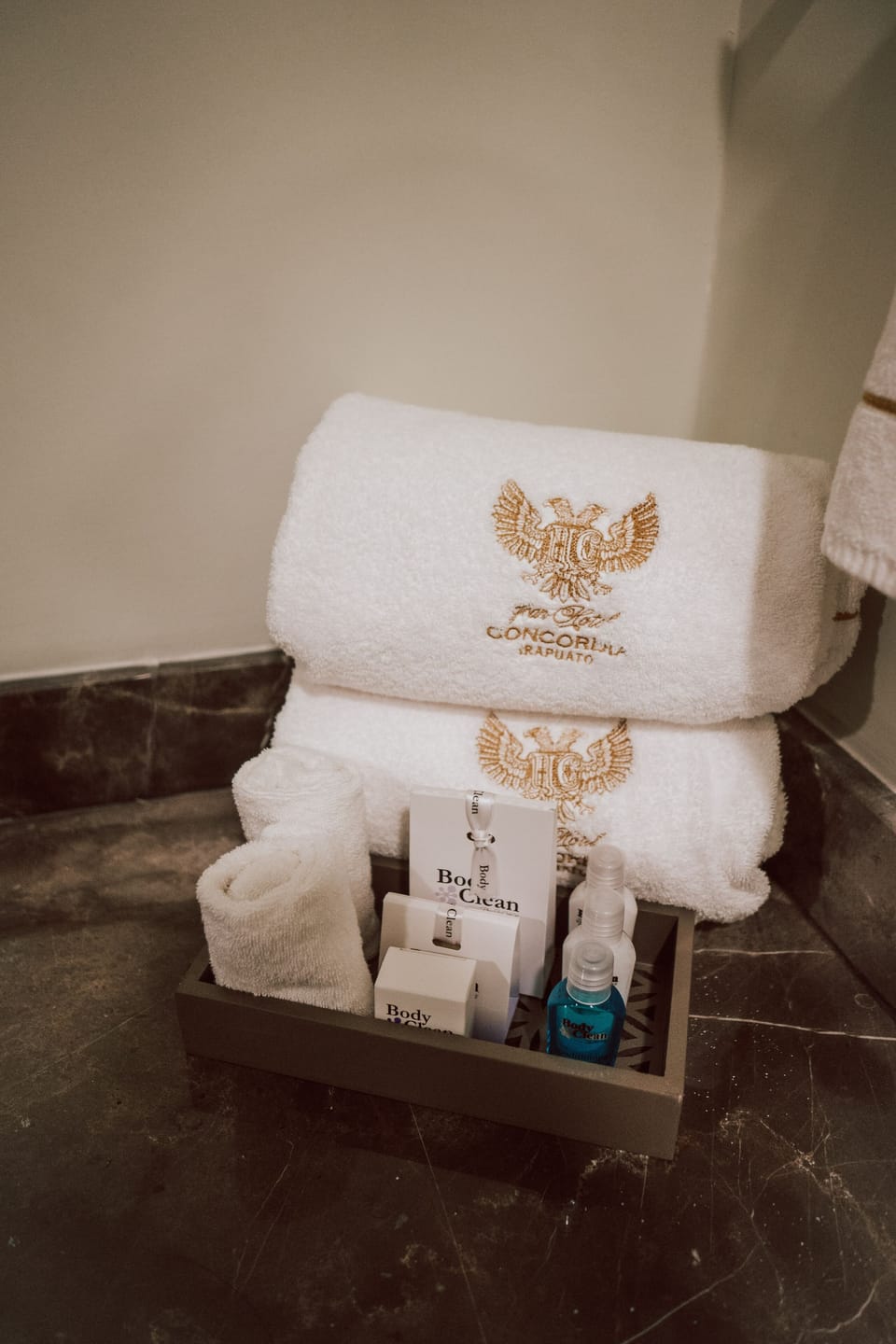 Shower, free toiletries, hair dryer, towels