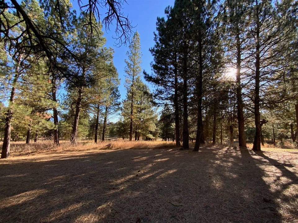 View from Deck