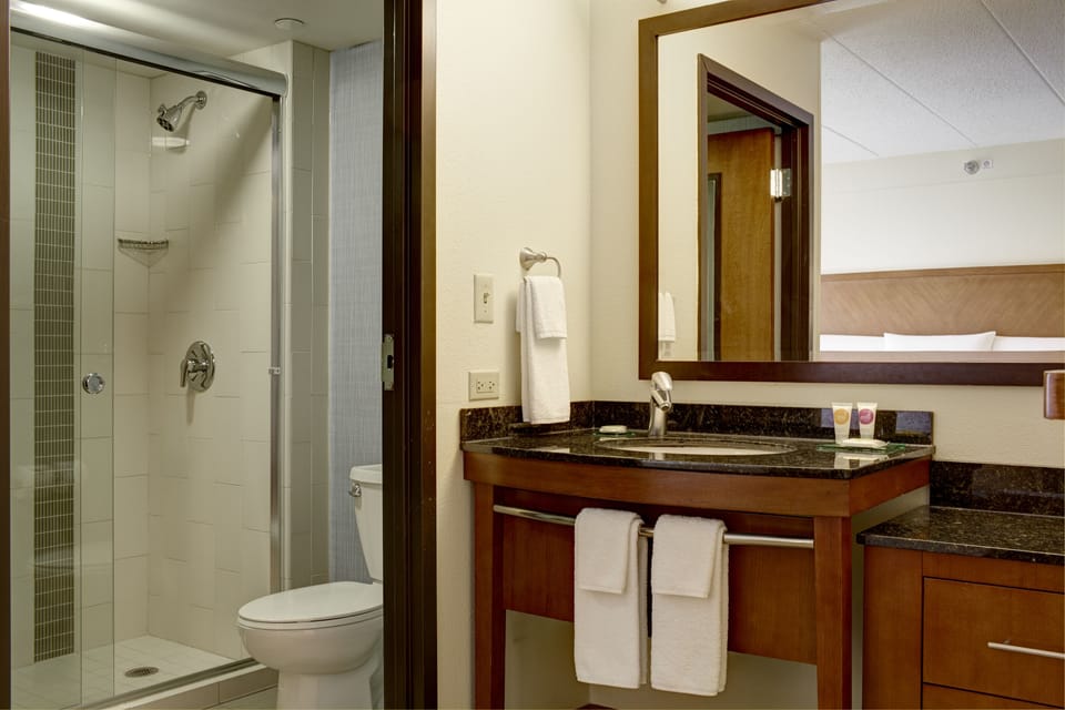 Designer toiletries, hair dryer, towels