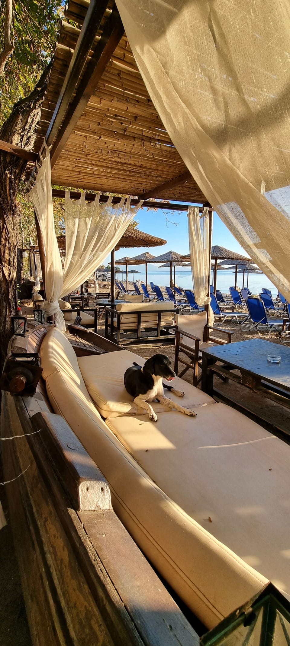 Beach nearby, sun loungers, beach umbrellas, snorkeling