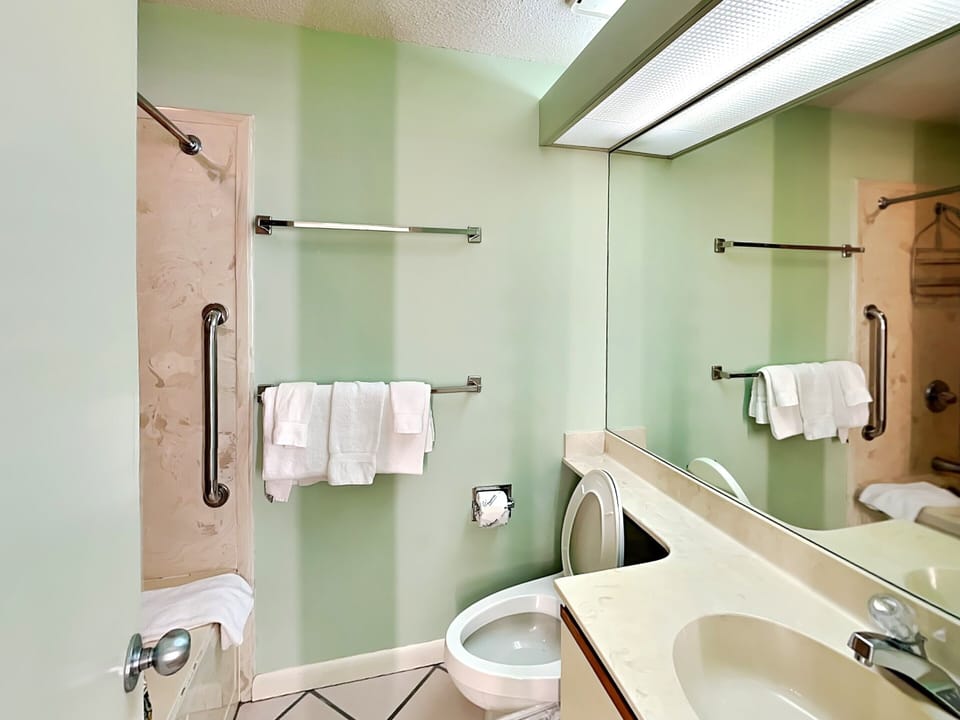 Primary Full Bathroom - Shower/Tub