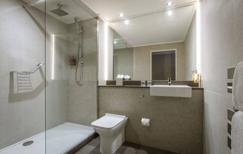 Combined shower/tub, eco-friendly toiletries, hair dryer, towels