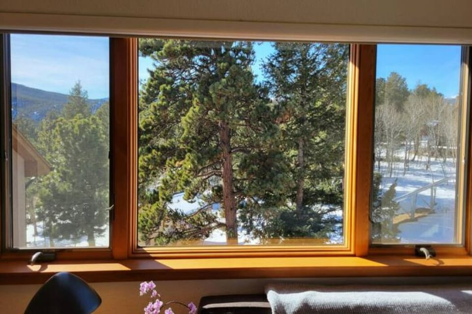 Master Bedroom Window