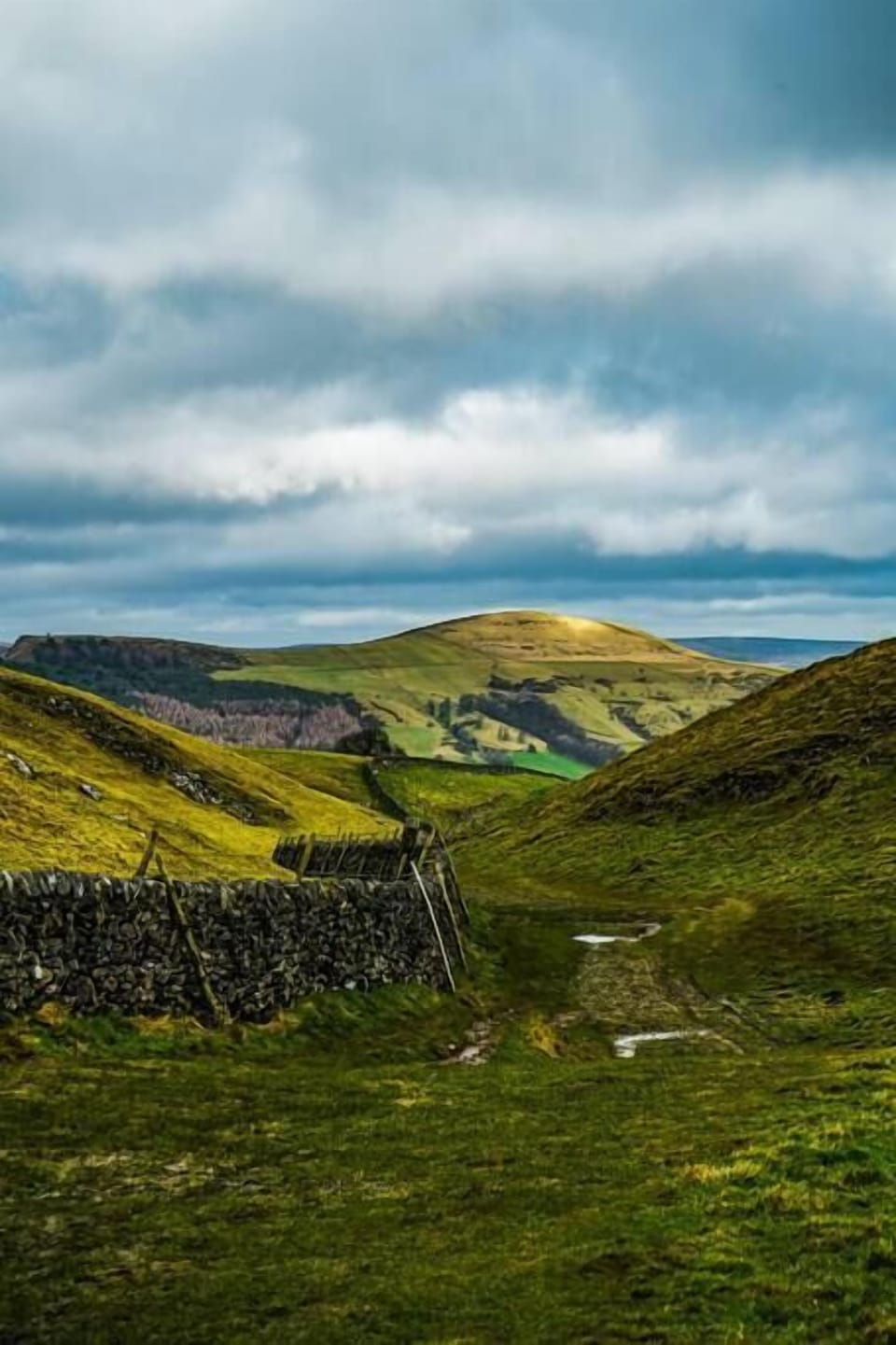 Beautiful local countryside of North Yorkshire