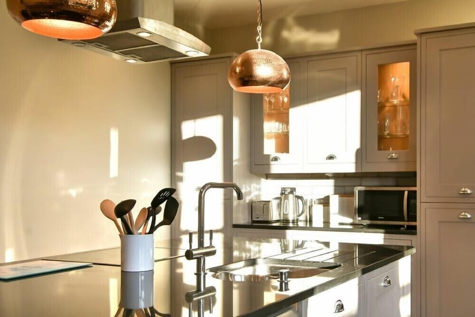 Fridge, dishwasher, cookware/dishes/utensils