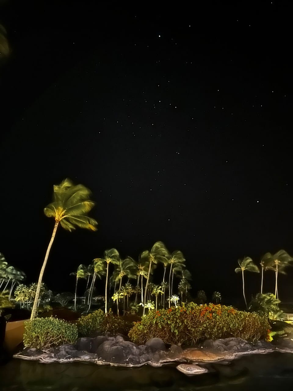 The stars at night are big and bright …