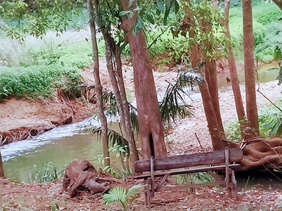 view of the creek from the undercover dinning and sitting areas 