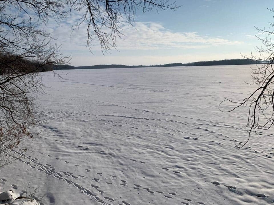 A frozen winter wonderland
