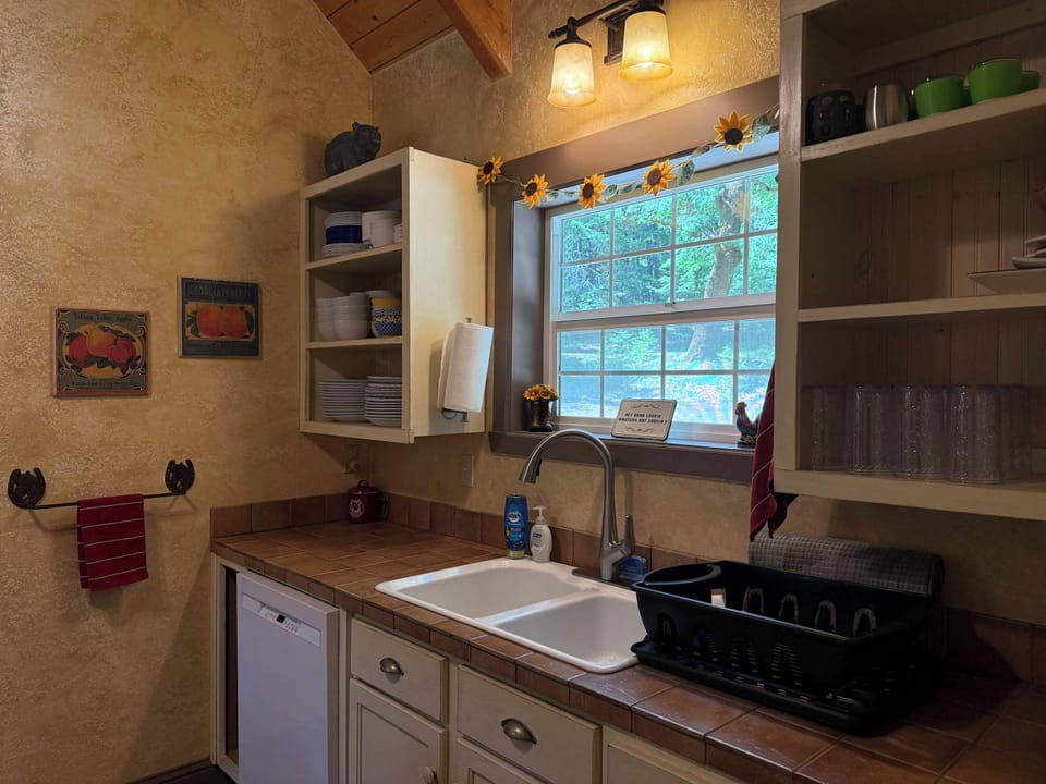The kitchen sink overlooking the forest outside.
