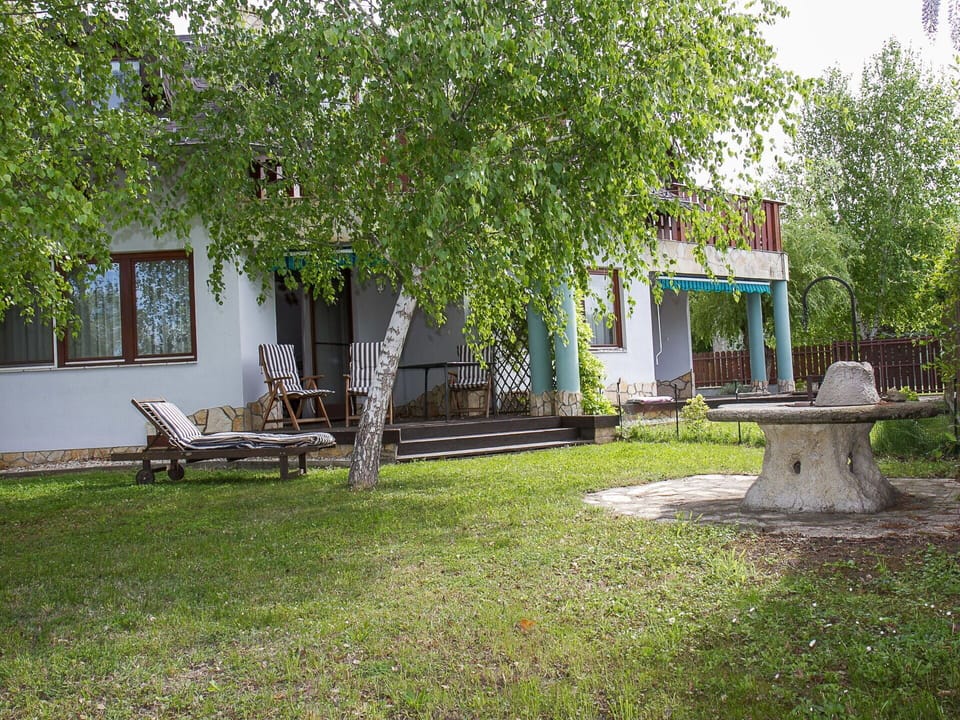 Plant, Property, Building, Window, Nature, Leaf, Shade, Tree, Outdoor Bench, Land Lot