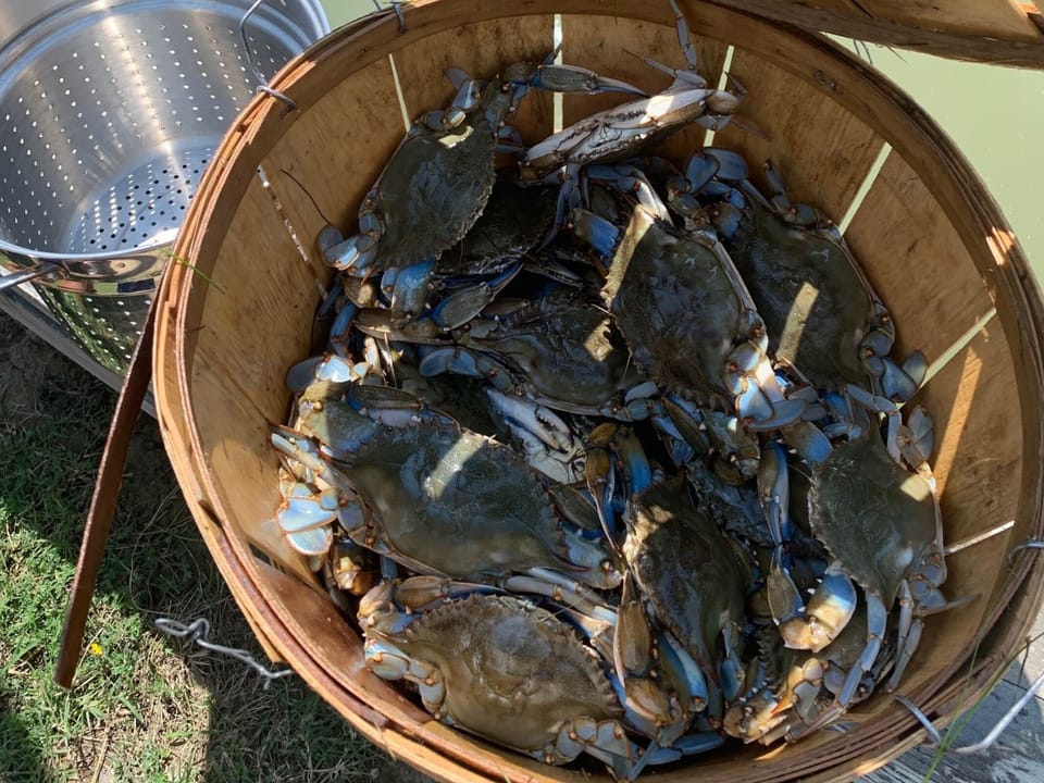 Crabs