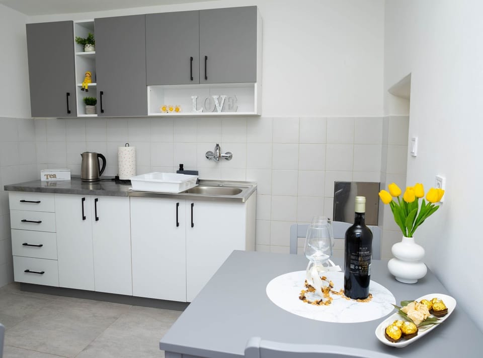 Studio (Studio Apartment with Terrace) | Private kitchen | Fridge, dining table