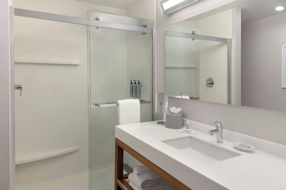 Combined shower/tub, free toiletries, hair dryer, towels