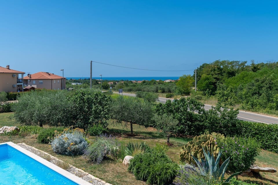 View from Holiday Home [summer]