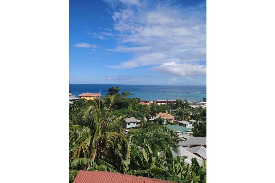 The view from the front yard 
