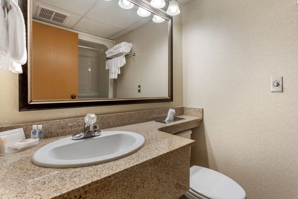 Blackout drapes, soundproofing, iron/ironing board
