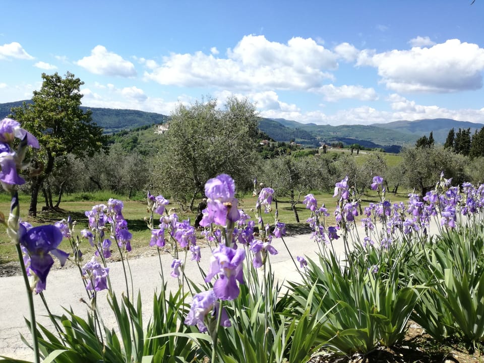Nipozzano