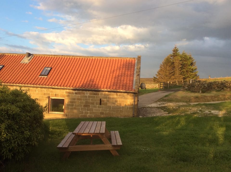 The rear of Lapwing cottage
