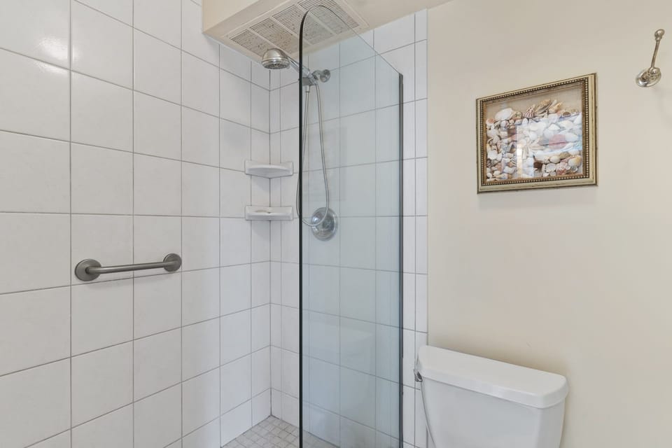 Walk in shower with half wall glass door to give plenty of light