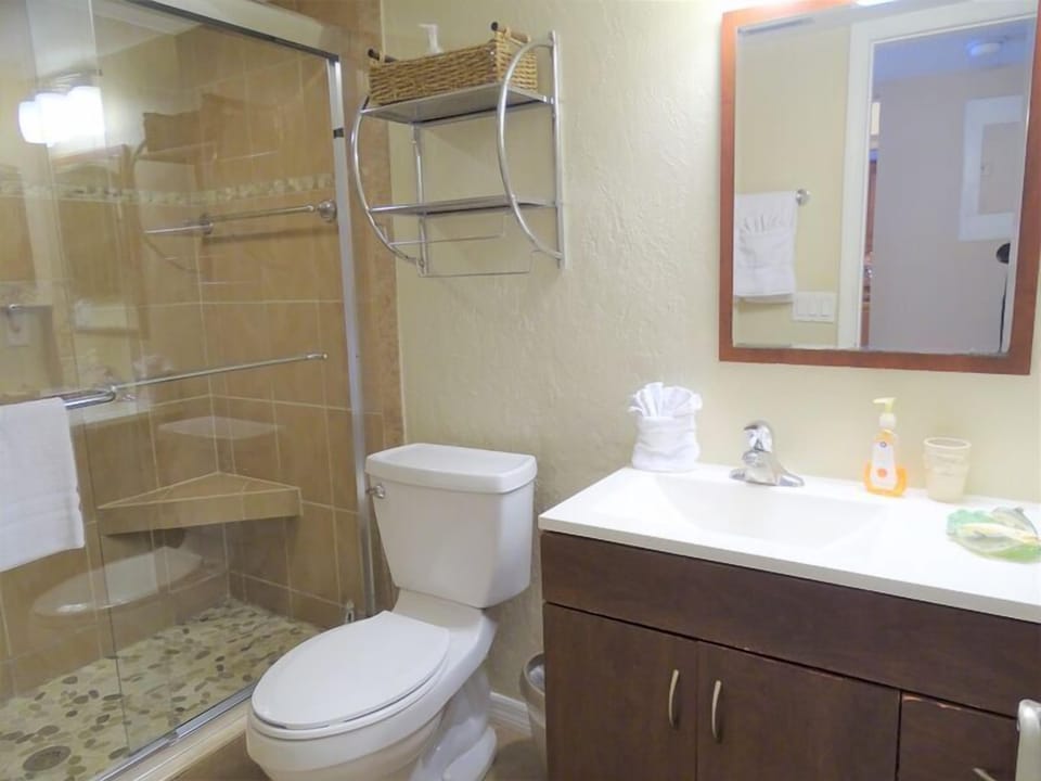 Primary bathroom with walk-in shower