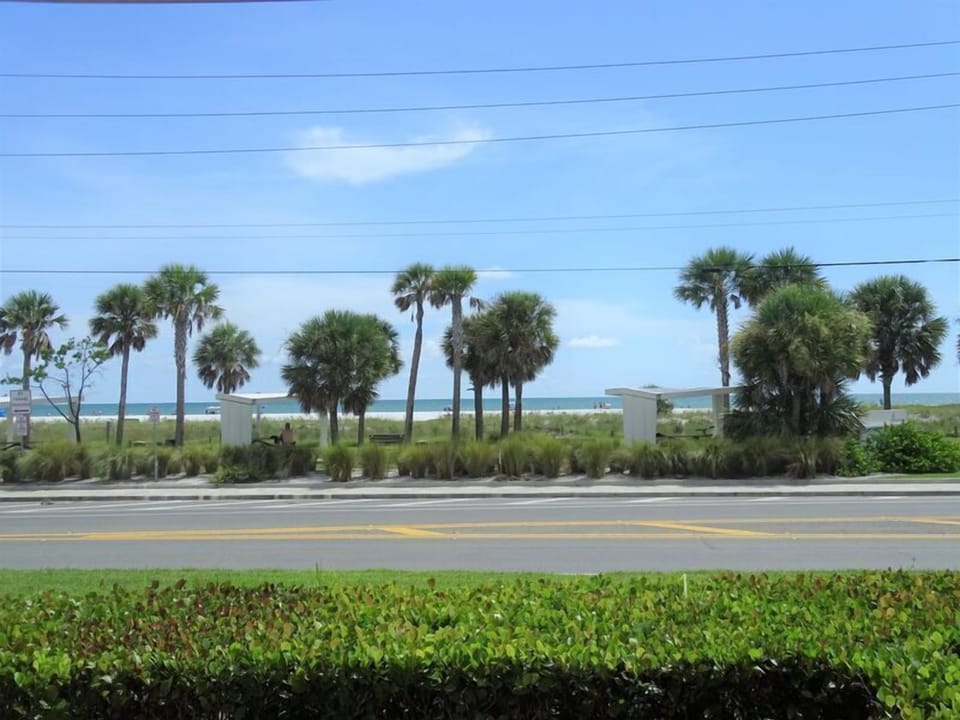 Tropical Views