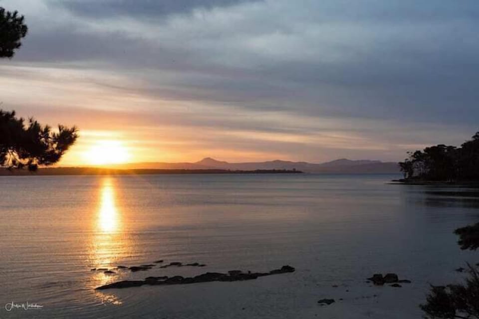 07dbd11f 259b 43ae b404 4146148bfa6c