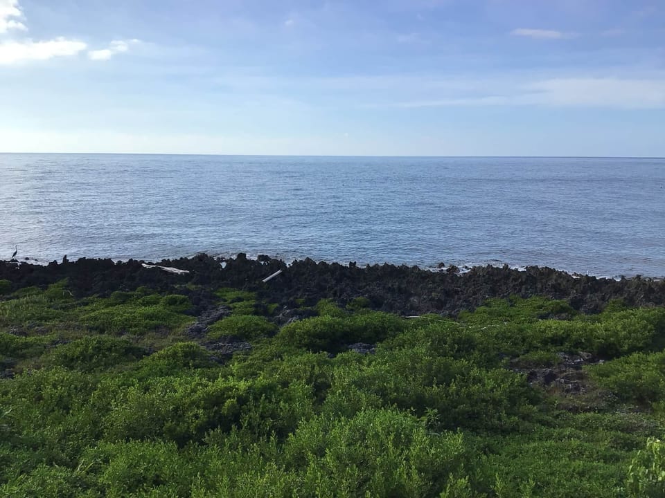 View from porch