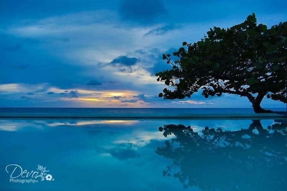 Infinity Pool (2)