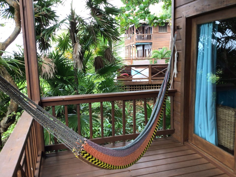 Hammock