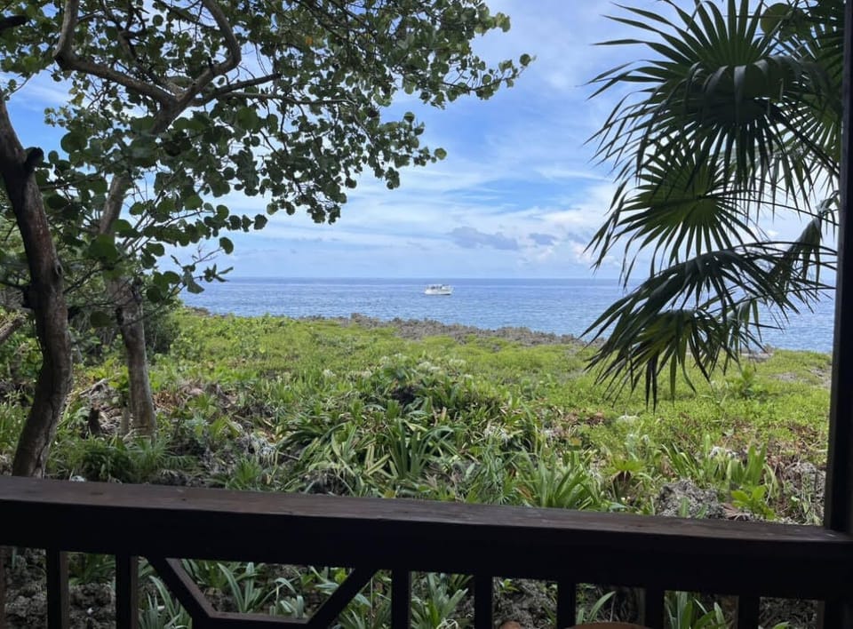 View from Porch (1)