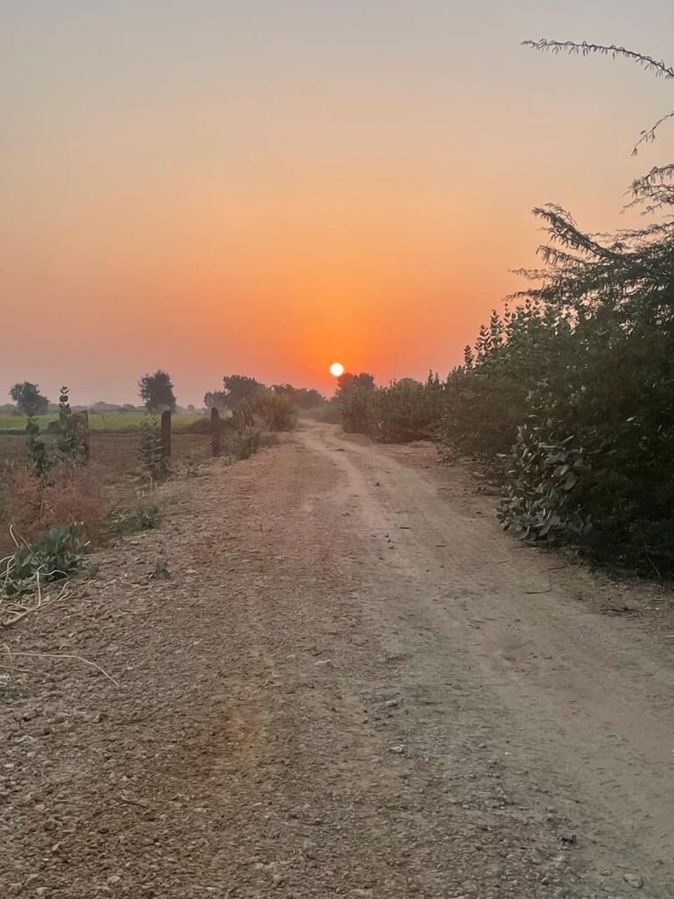 View from property